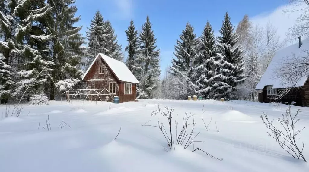 Дом в Ленинградская область, Киришский район, Кусинское с/пос, ... - Фото 1