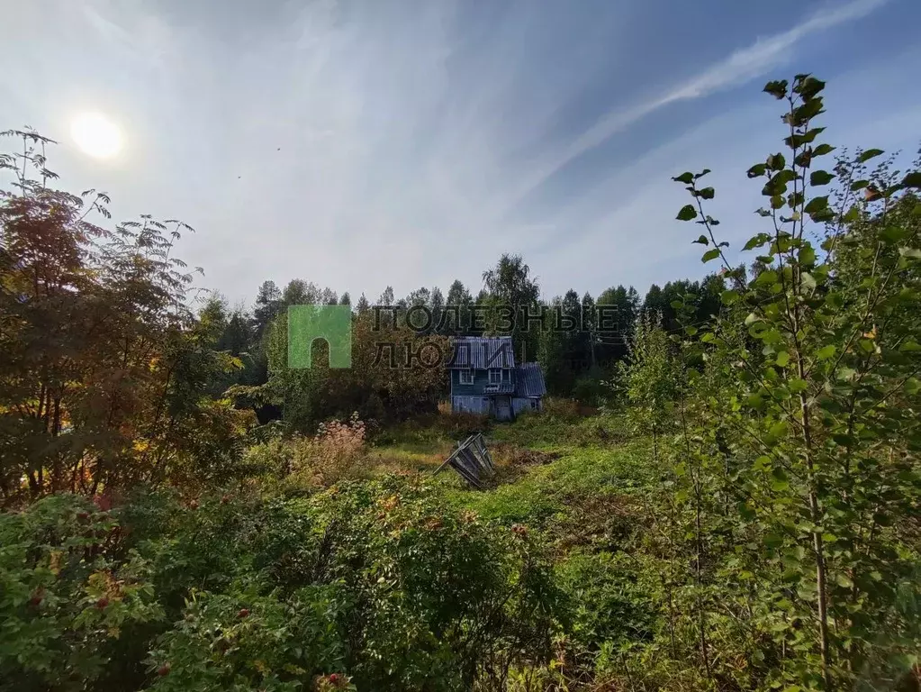 Участок в Карелия, Прионежский район, Деревянкское с/пос, Южный СНТ  ... - Фото 0