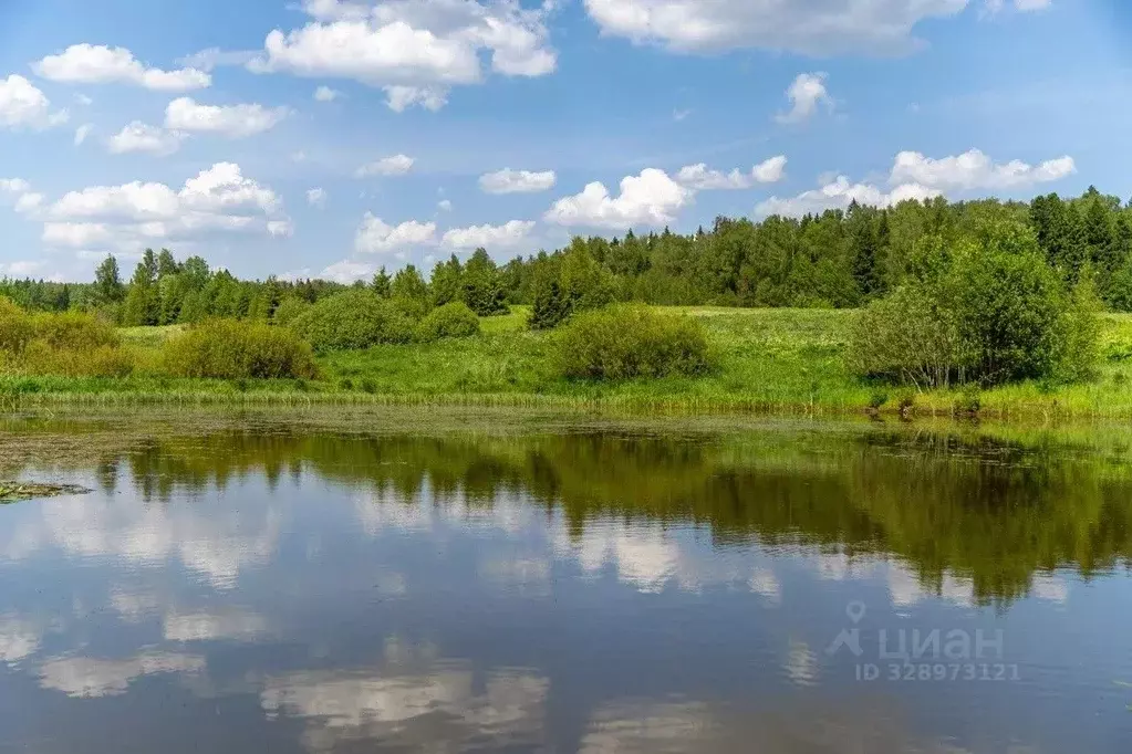 Участок в Московская область, Истра муниципальный округ, д. Рыбушки  ... - Фото 2