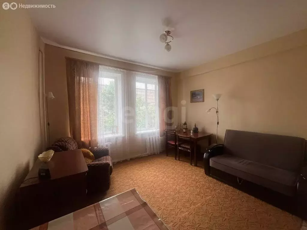 1-комнатная квартира: Пинеровка, Заводская улица, 10Б (19.1 м) - Фото 1