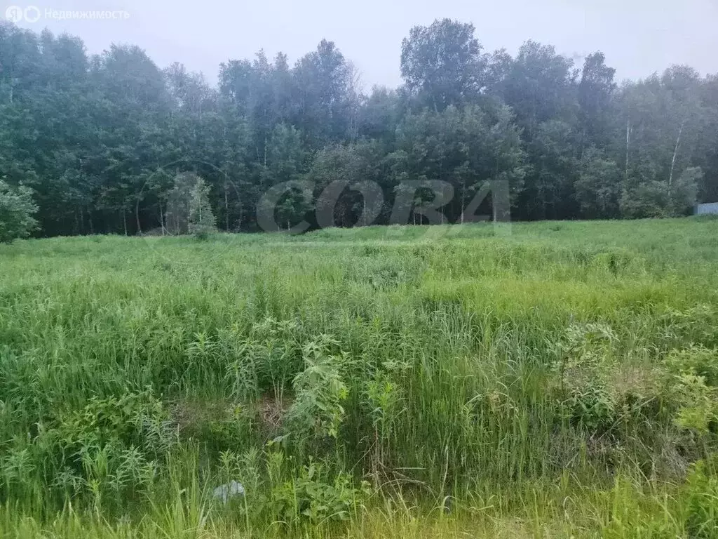 Участок в Тюменский район, деревня Решетникова (8 м) - Фото 1