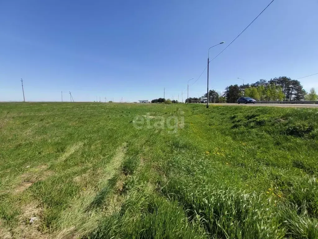 Участок в Брянская область, Выгоничи рп  (100.0 сот.) - Фото 1