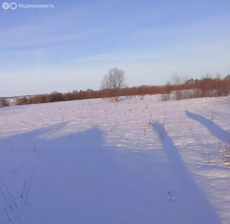 Участок в Уфимский район, Дмитриевский сельсовет, деревня Волково (10 ... - Фото 0