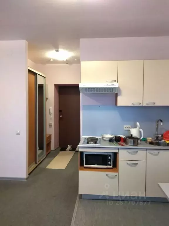 1-к кв. Татарстан, Казань просп. Победы, 90А (26.0 м) - Фото 0
