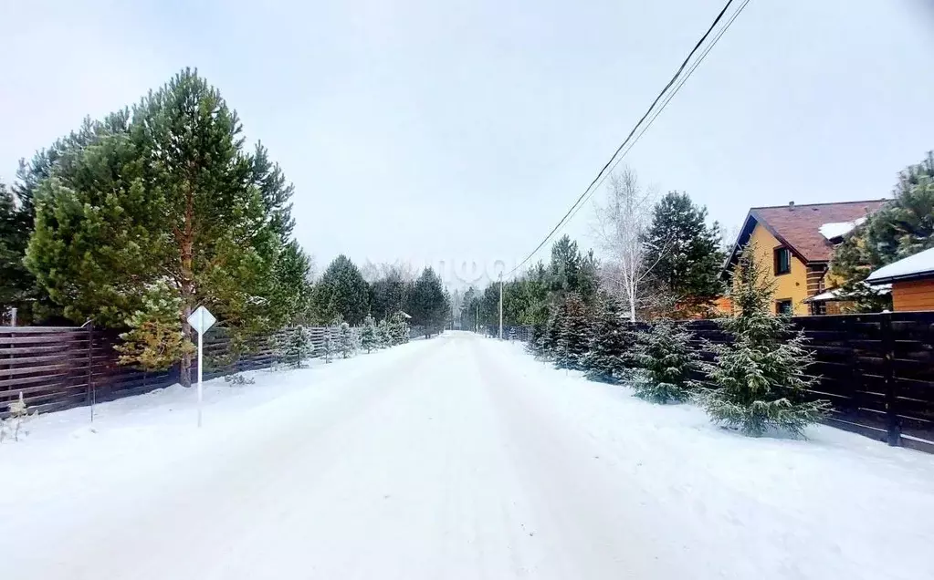 Участок в Новосибирская область, Новосибирский район, Кубовинский ... - Фото 0