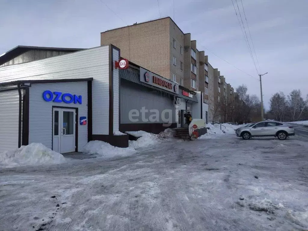 Офис в Челябинская область, Троицк пос. Троицкая ГРЭС, 10-й кв-л, 38 ... - Фото 0