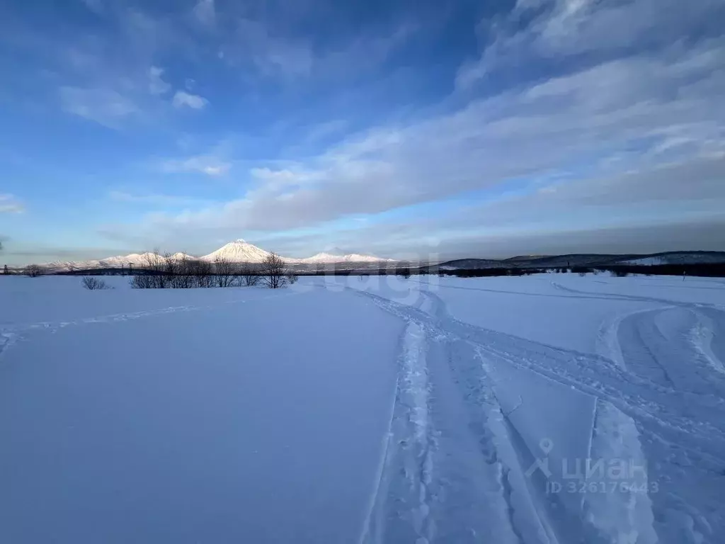 Участок в Камчатский край, Елизовский муниципальный округ, Таежный-2 ... - Фото 1