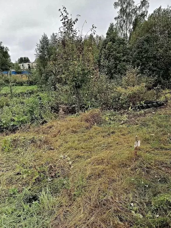 Участок в Ленинградская область, Выборгский район, Гончаровское с/пос, ... - Фото 1