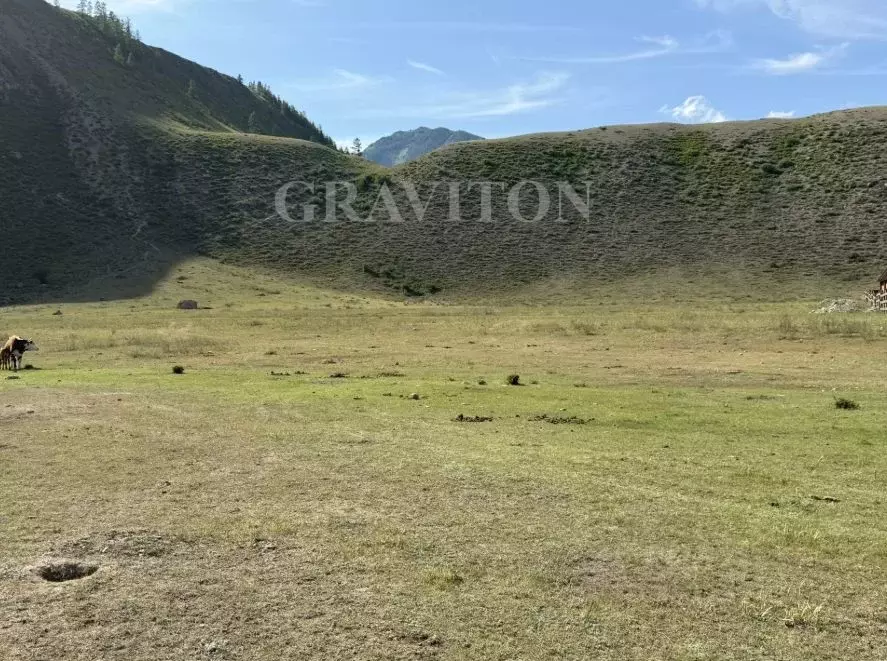 Участок в Алтай, Улаганский район, с. Чибит Подгорная ул. (52.0 сот.) - Фото 1