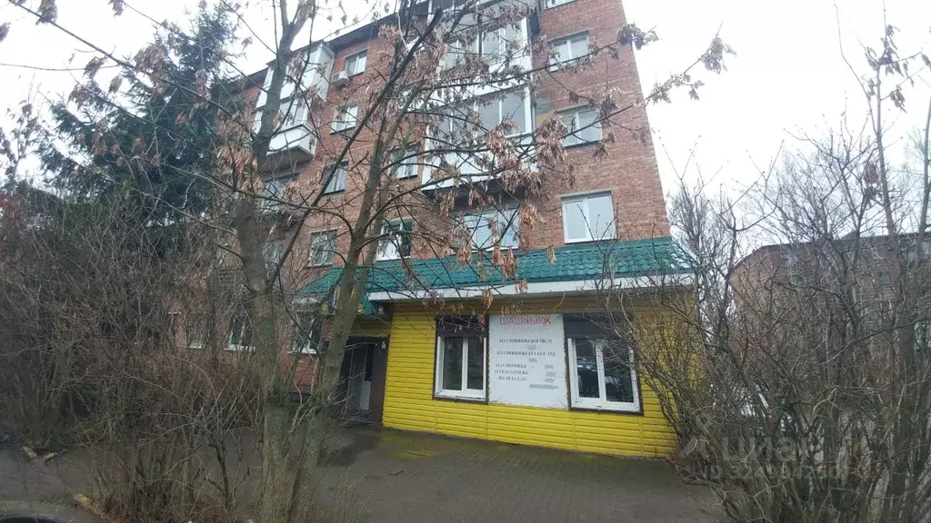 Помещение свободного назначения в Смоленская область, Смоленск ул. ... - Фото 1