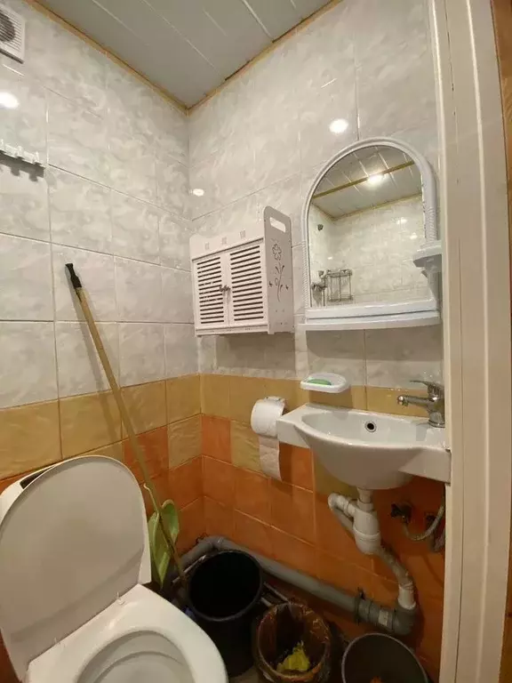 Студия Санкт-Петербург пос. Левашово, Лесная ул., 6аБ (20.0 м) - Фото 2