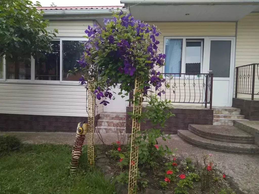 Комната Краснодарский край, Сочи городской округ, с. Каткова Щель ул. ... - Фото 0