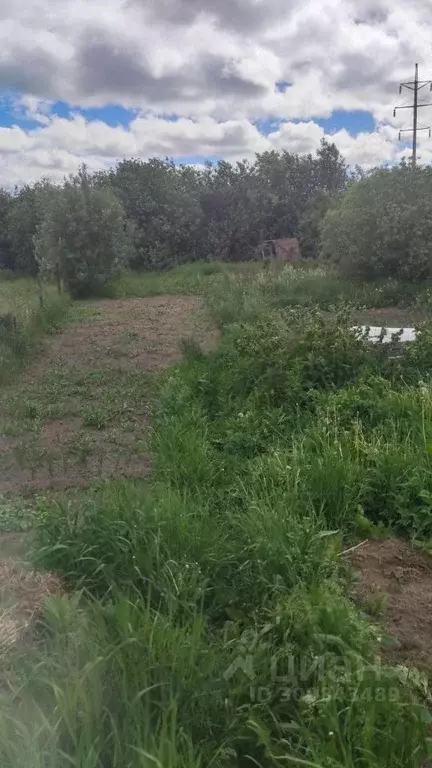 Участок в Тюменская область, Тобольск Дружба садоводческое ... - Фото 0