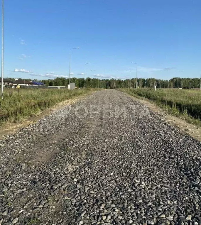 Участок в Тюменская область, Тюменский район, Новокаменский кп ул. ... - Фото 1