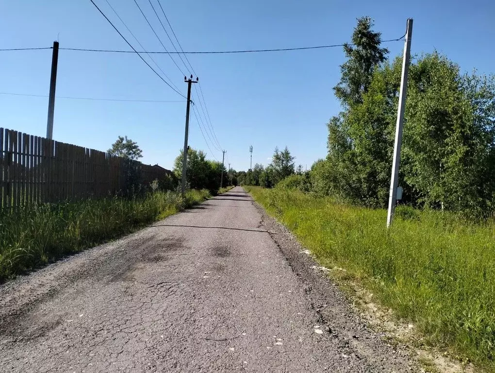 Участок в Московская область, Дмитровский муниципальный округ, д. ... - Фото 2