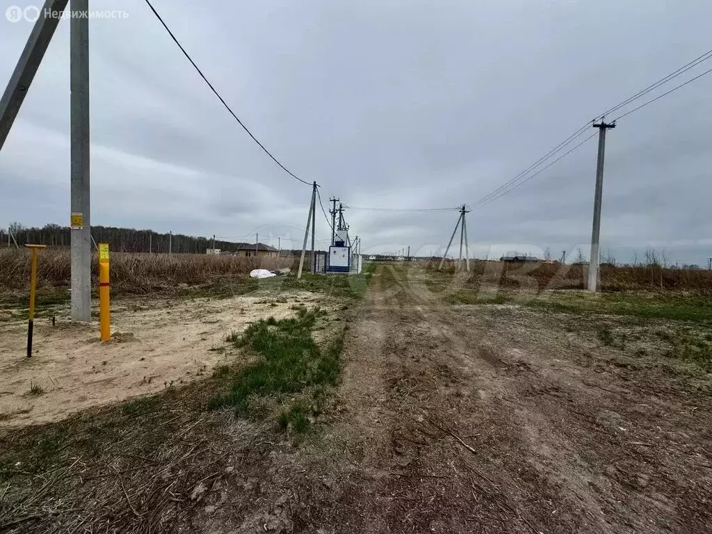 Участок в Тюменский район, деревня Решетникова (7.5 м) - Фото 1