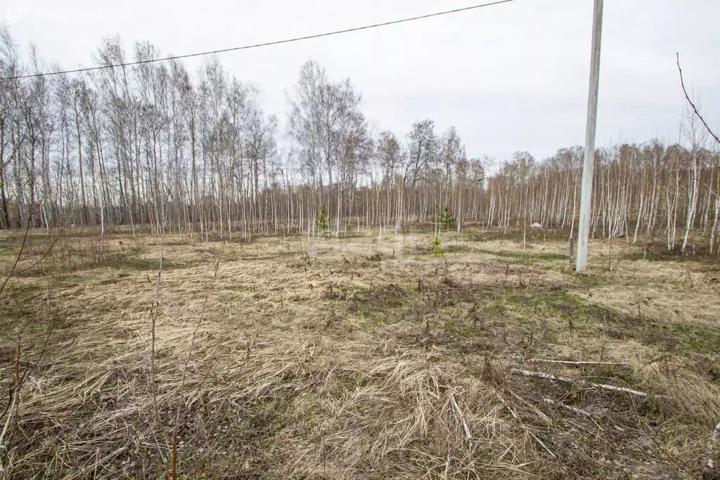 Участок в село Киева, Садовая улица (10 м) - Фото 0