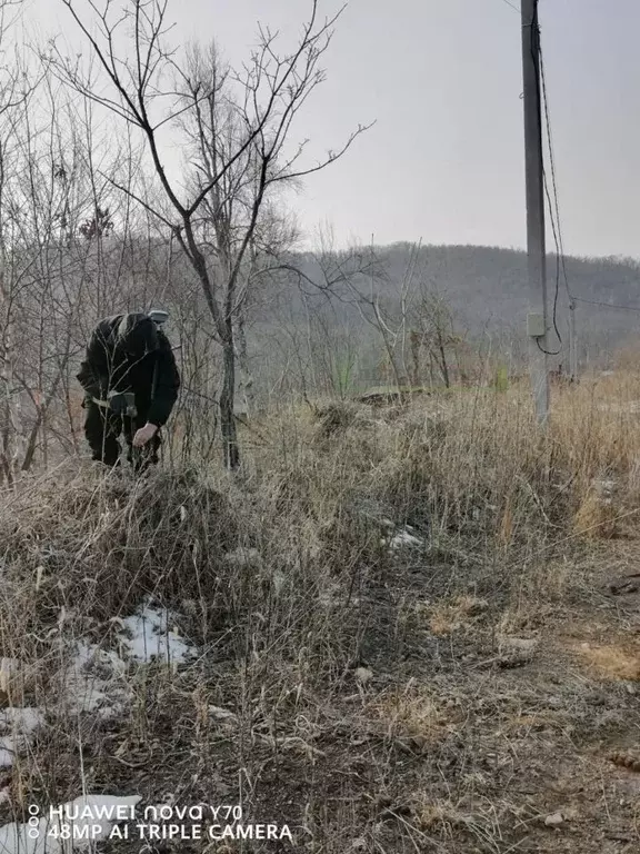 Участок в Приморский край, Артем Родник-1 СНТ, ул. Гагарина (10.0 ... - Фото 2