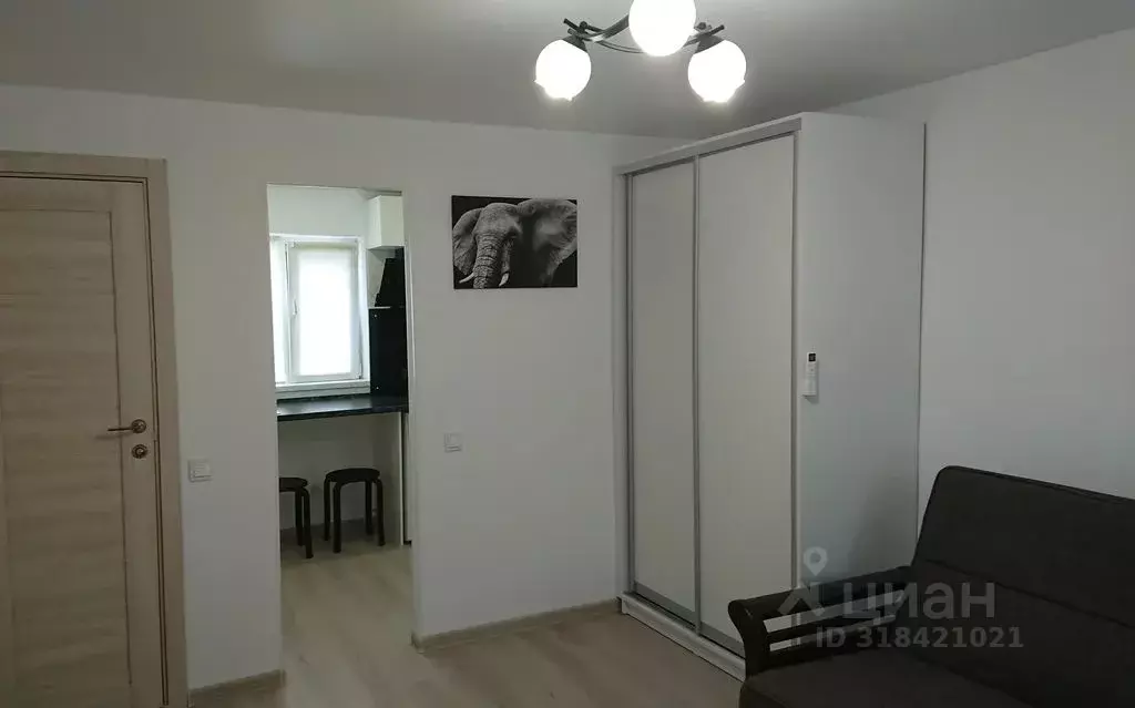 Студия Краснодарский край, Сочи ул. Яна Фабрициуса, 2/36А (20.0 м) - Фото 0