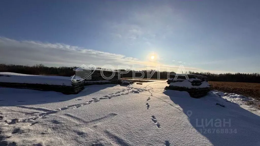Участок в Тюменская область, Тюмень Велижанский тракт, 5-й км (100.0 ... - Фото 1