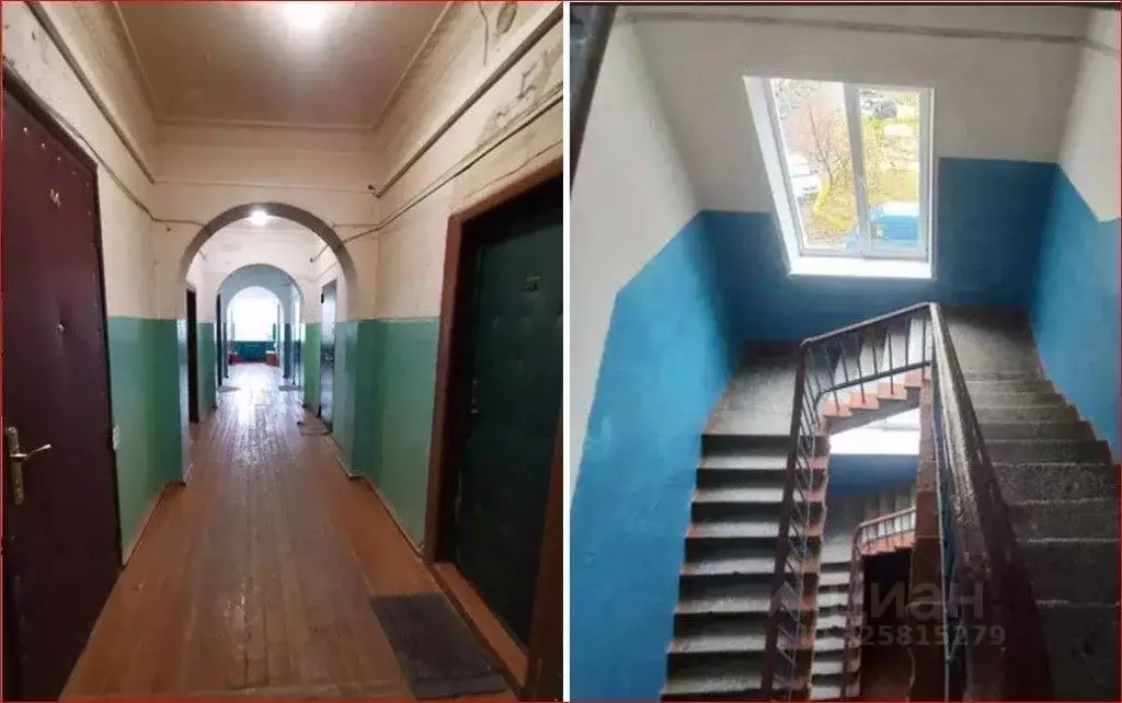 1-к кв. Орловская область, Орел Октябрьская ул., 50 (11.8 м) - Фото 2