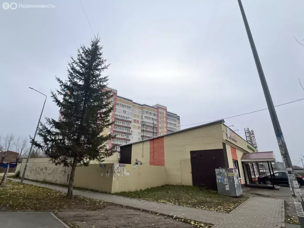 Торговая площадь (186.8 м) - Фото 2