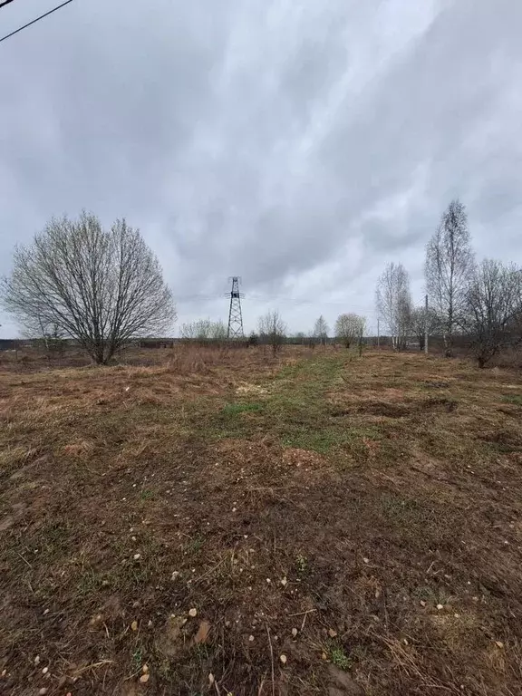 Участок в Владимирская область, Александровский район, Каринское ... - Фото 0