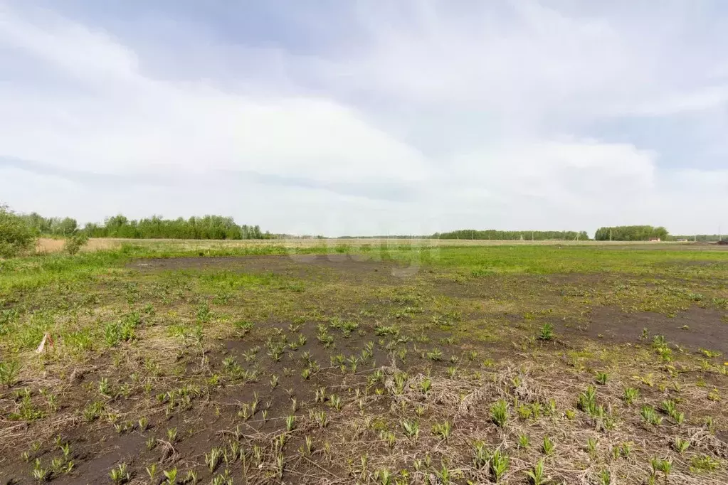 Участок в Тюменская область, Тюменский район, с. Горьковка  (8.33 ... - Фото 0