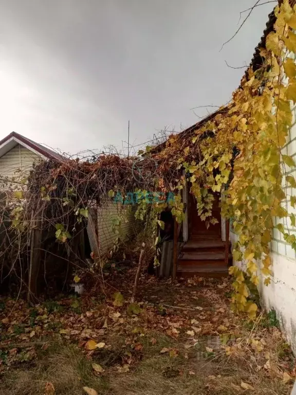 Дом в Белгородская область, Поселок Чернянка городское поселение, ... - Фото 2