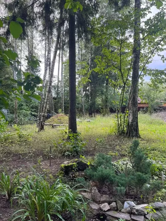 Участок в Московская область, Лобня Луговая мкр, ул. Панфилова (15.8 ... - Фото 1