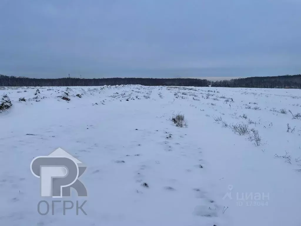 Автобус юсупово домодедово. Поселок с водоемом. Коттеджный посёлок рядом с Дугино. Фауна пляж Домодедово Юсупово фото.