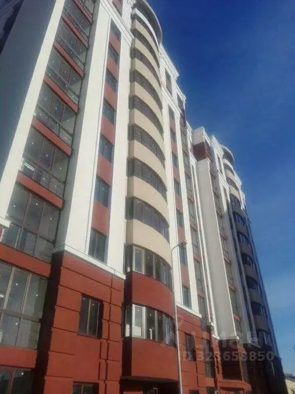 Студия Оренбургская область, Оренбург ул. Черепановых, 44 (43.4 м) - Фото 2