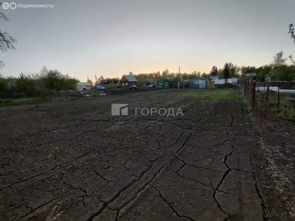 Участок в Павловский район, садовое некоммерческое товарищество Ясное ... - Фото 1