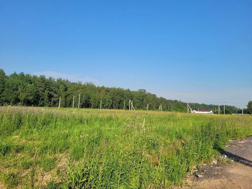 Участок в Ленинградская область, Ломоносовский район, Горбунковское ... - Фото 2