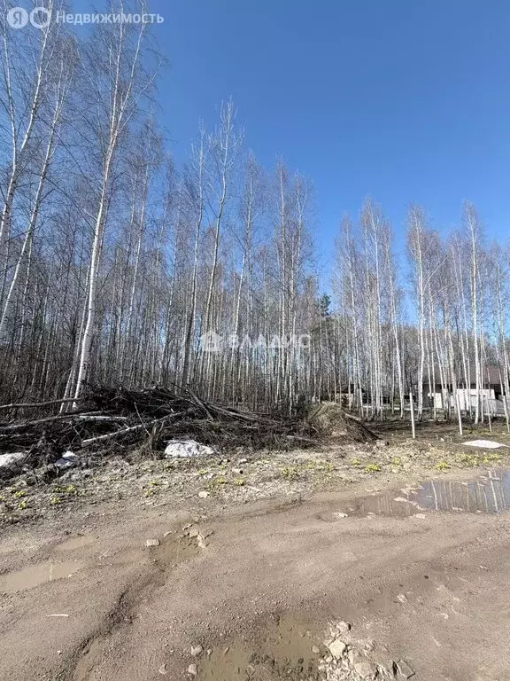 Участок в деревня Черемисское, квартал Дачный (12 м) - Фото 2