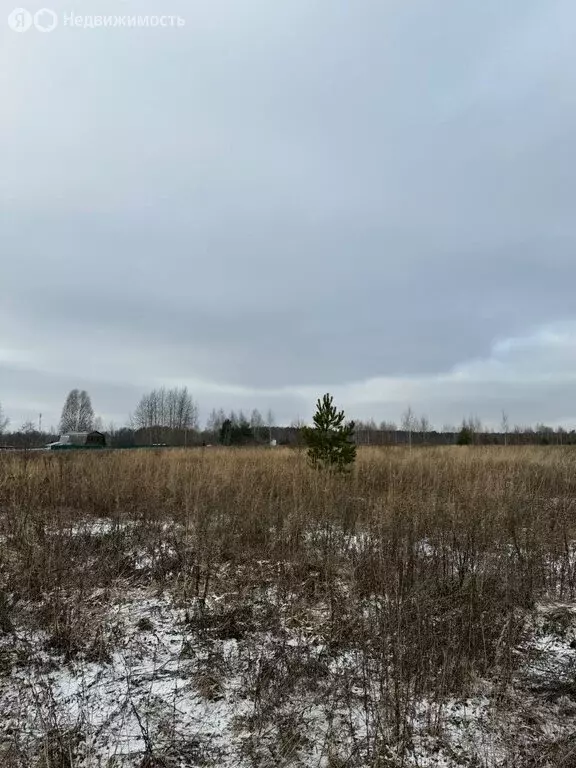 Участок в городской округ Владимир, деревня Вилки, Центральная улица ... - Фото 1