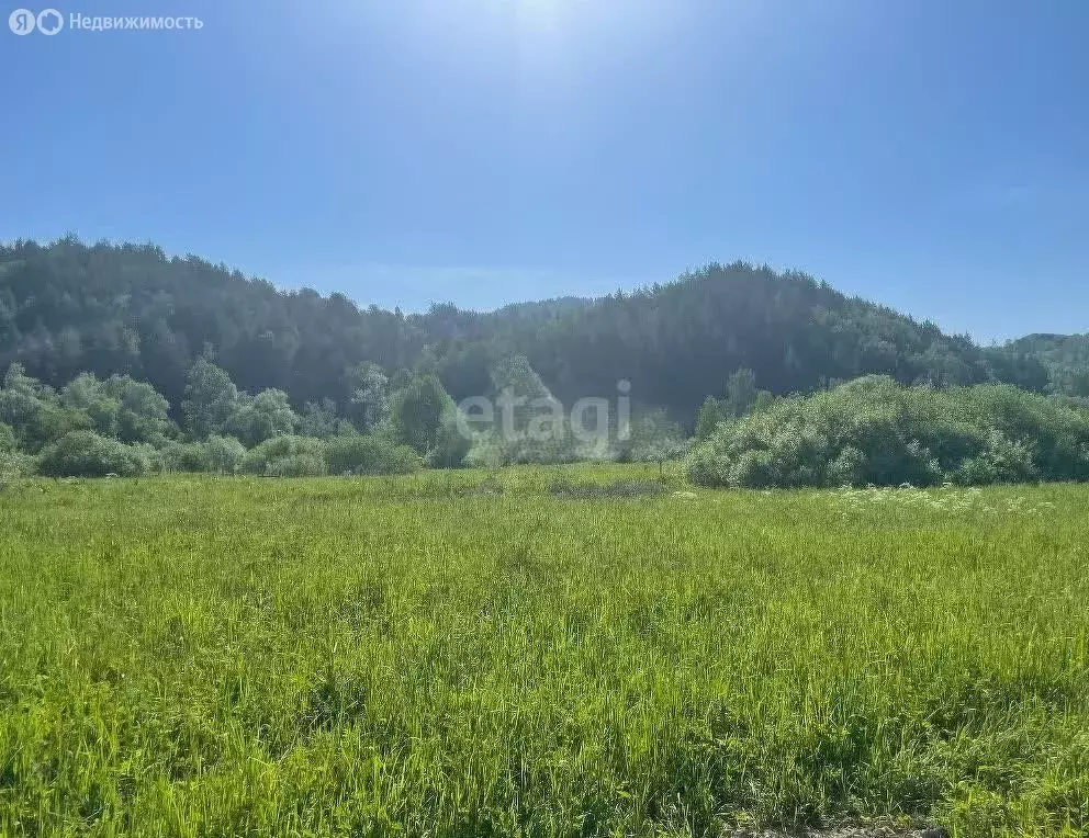 Участок в Майминский район, посёлок Филиал, улица Мира (10 м) - Фото 1