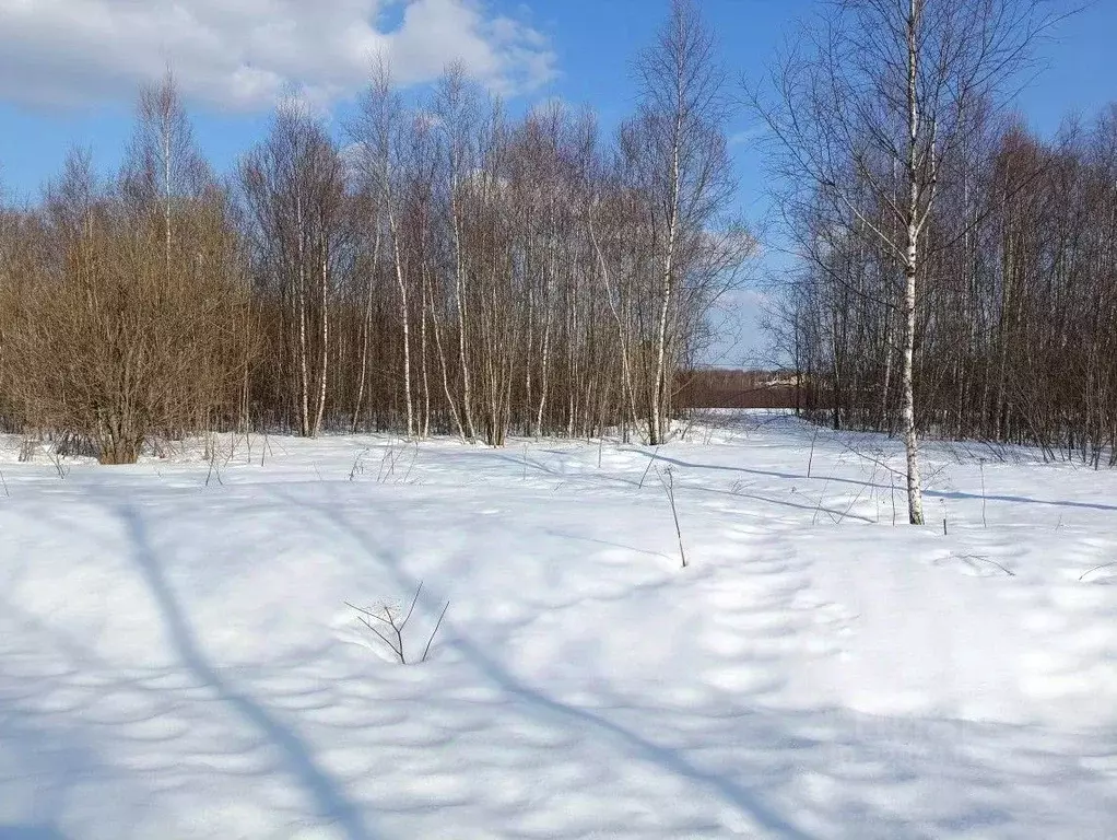 Участок в Московская область, Чехов муниципальный округ, д. Алферово ... - Фото 1