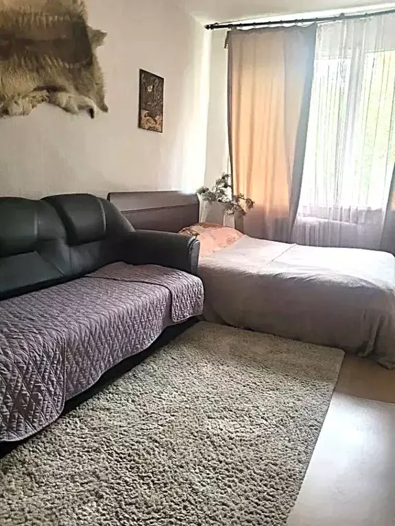 Комната Московская область, Королев проезд Ударника, 7 (17.0 м) - Фото 1