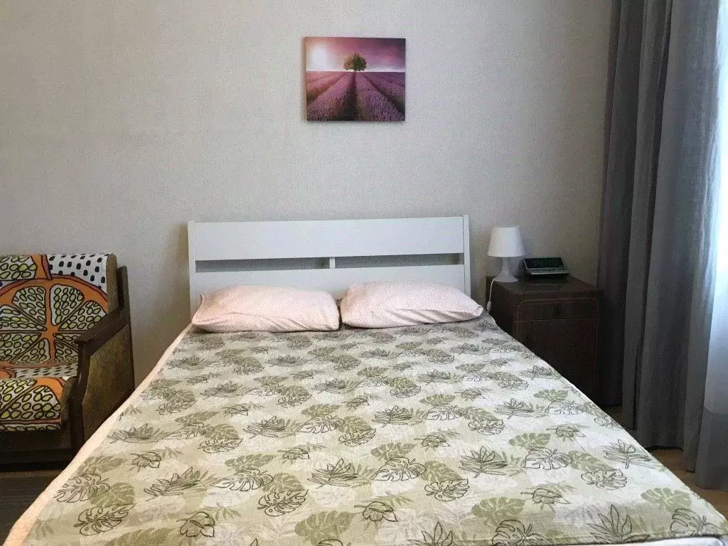 1-к кв. Москва, Москва, Зеленоград 340 (20.0 м) - Фото 2