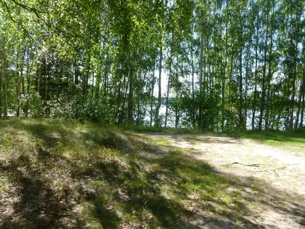 Участок в Нижегородская область, Сокольский городской округ, д. Быково ... - Фото 1