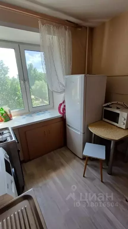1-к кв. Владимирская область, Владимир ул. Разина, 24 (31.3 м) - Фото 1