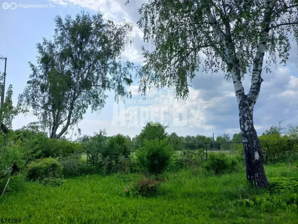 Дом в сельское поселение Ильинское, деревня Каменево (27.9 м) - Фото 0