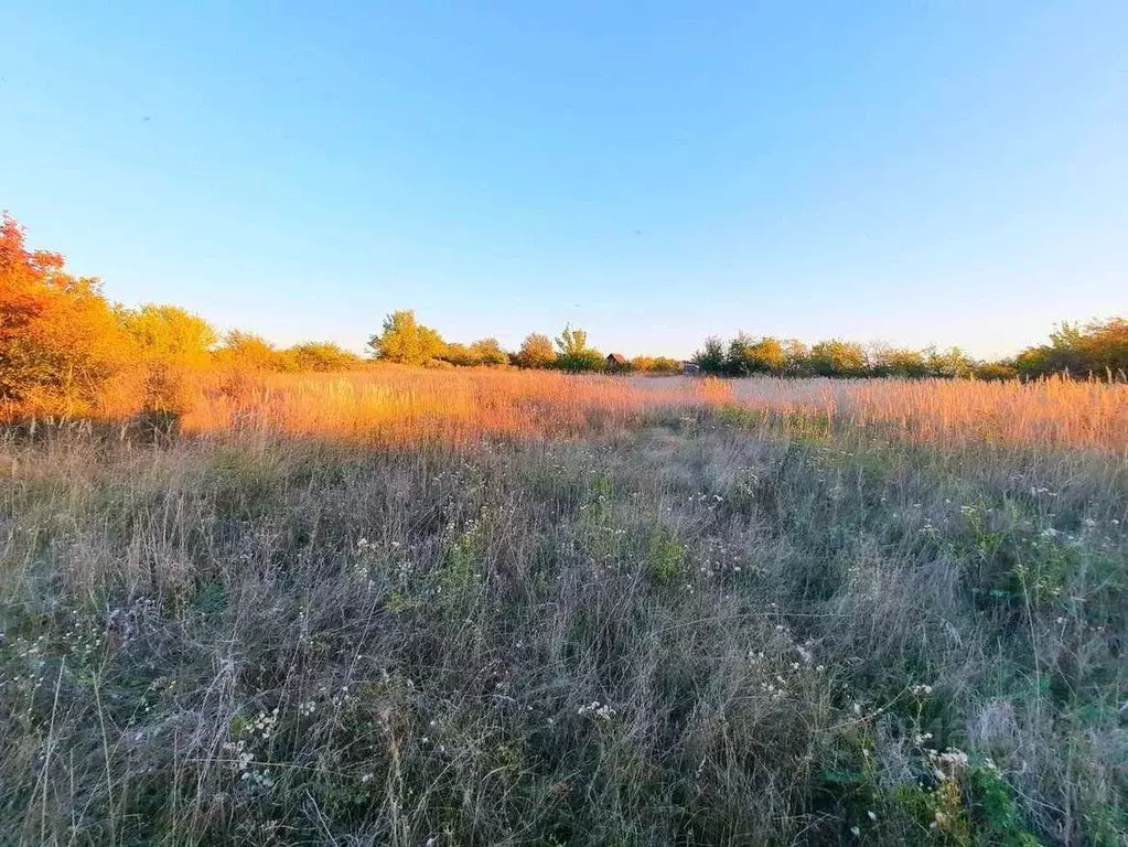 Участок в Белгородская область, Белгородский район, Бессоновское ... - Фото 0