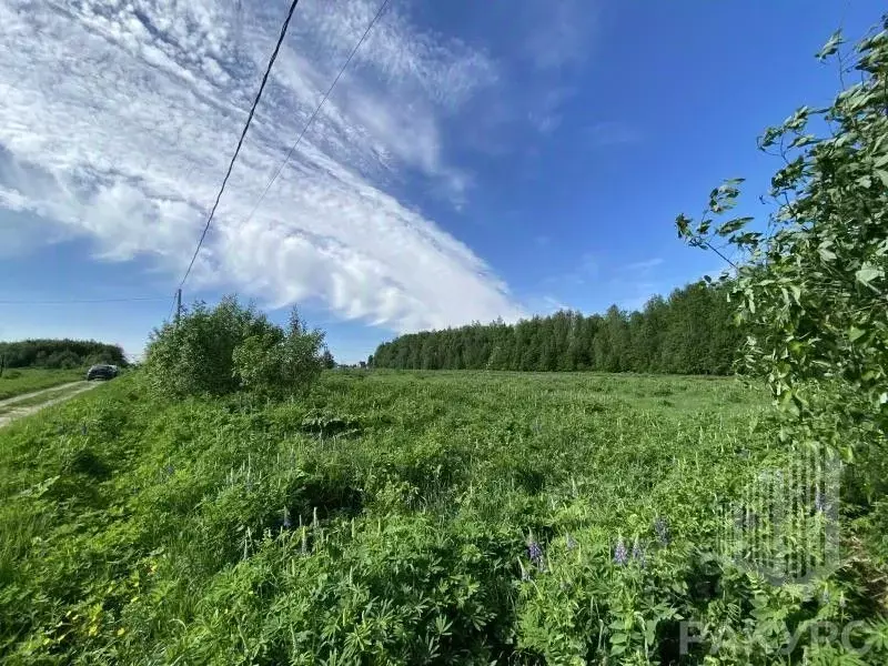 Участок в Пермский край, д. Скобелевка  (29.87 сот.) - Фото 0