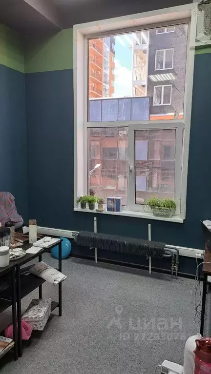 Офис в Нижегородская область, Нижний Новгород ул. Тимирязева, 9 (246 ... - Фото 1