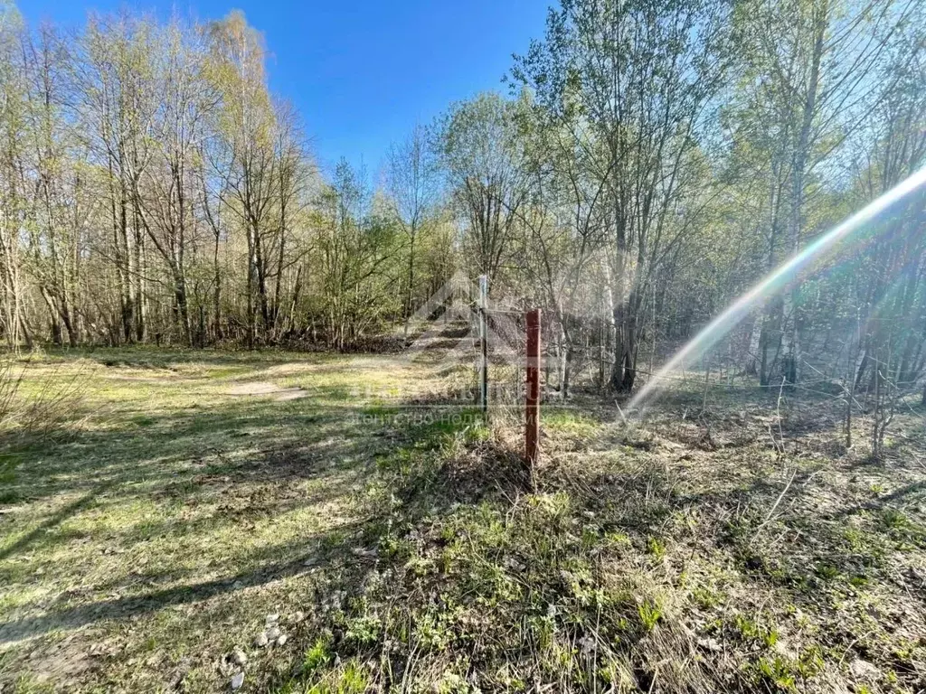 Участок в Татарстан, с. Пестрецы  (11.6 сот.) - Фото 1