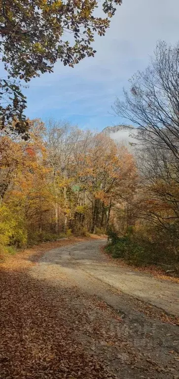 Участок в Крым, Симферополь ул. 8-я Коллективных Садов, 5 (20.0 сот.) - Фото 2