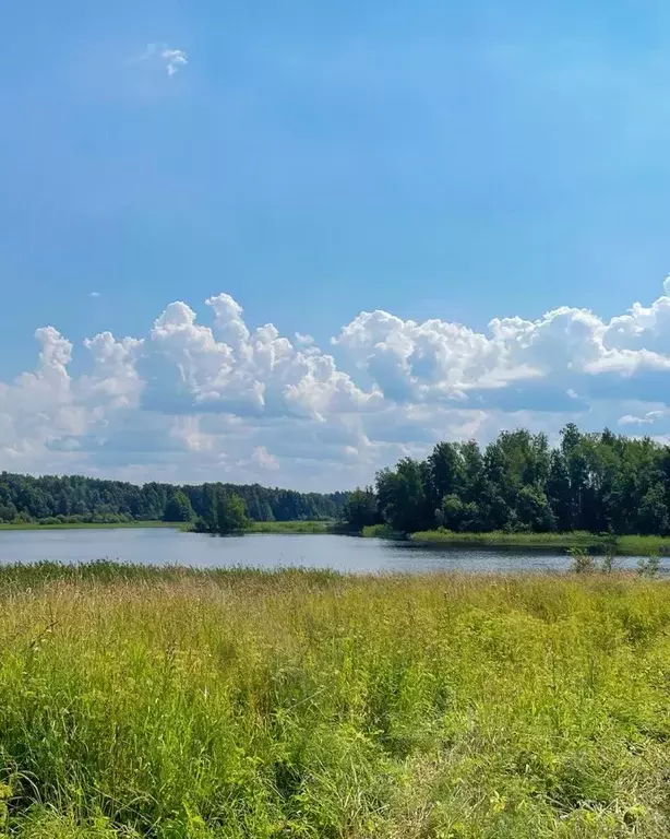 Участок в Ленинградская область, Приозерский район, Ромашкинское ... - Фото 0