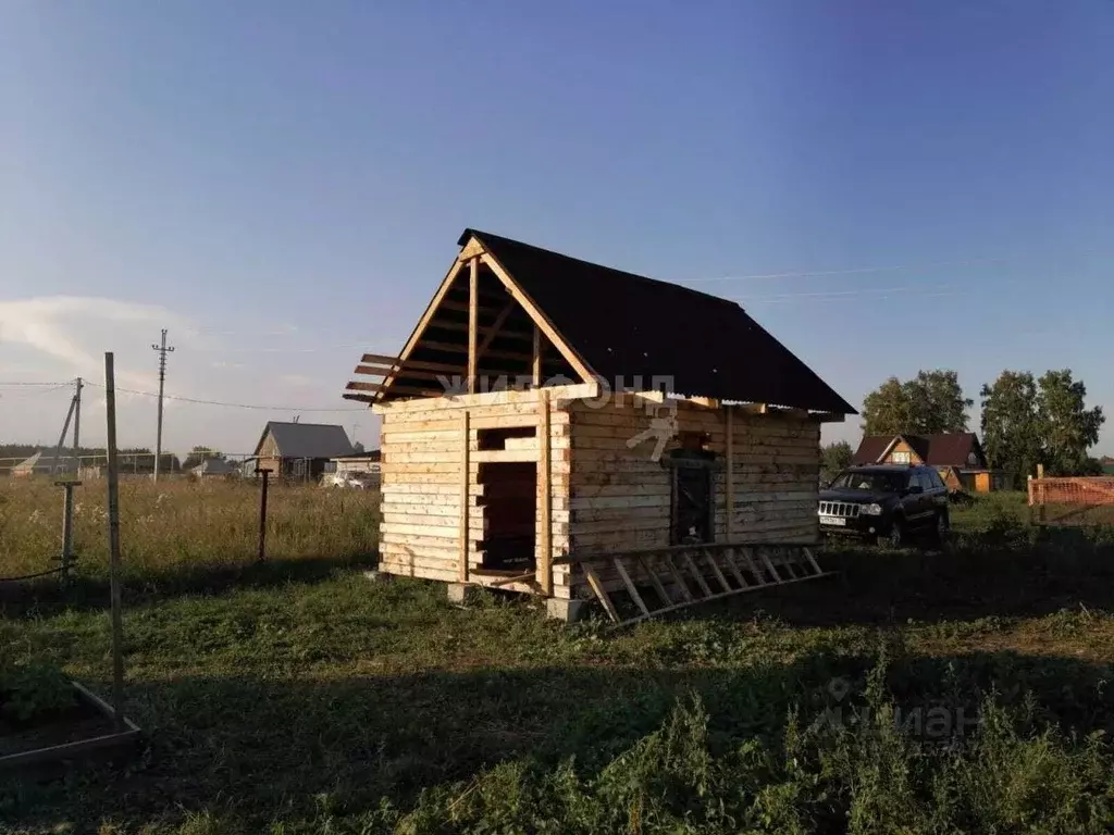 Дом в Новосибирская область, Ордынский район, с. Новопичугово  (22 м) - Фото 0